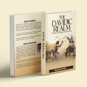Book cover of The Davidic Realm: Pathway to Accessing Victory in Life Early by Ukpo Daniel, Ph.D.